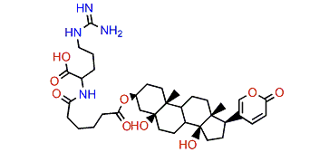 3-(N-Adipoyl argininyl)-telocinobufagin